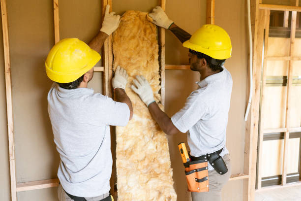 Best Fiberglass Insulation  in Hudson Lake, IN